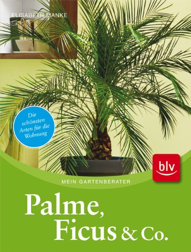 Palme, Ficus und Co.: Die schönsten Arten für die Wohnung